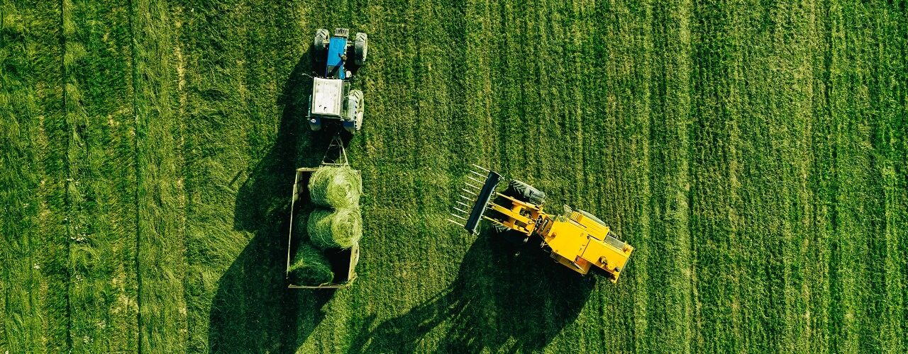 suprema-agricola (1)